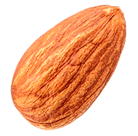 Almond single